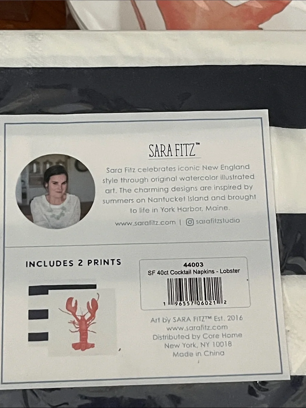 Sara Fitz Lobster :Striped Paper Plates - Coral Lobster Design (12 Pack)